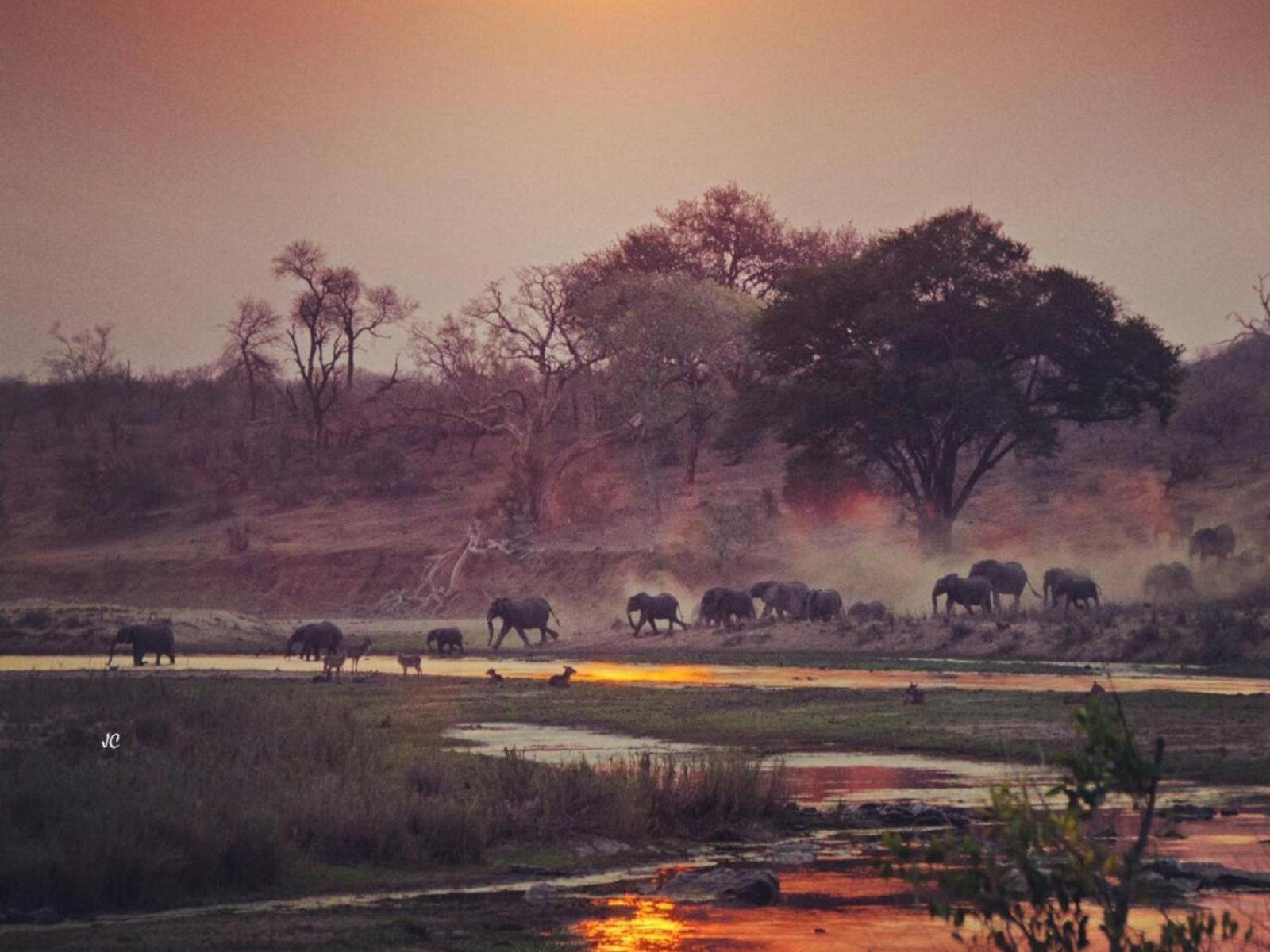 Croc Orvyll'S Kruger Lodge مارلوث بارك المظهر الخارجي الصورة