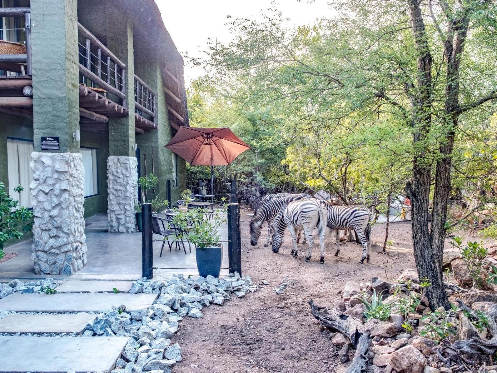 Croc Orvyll'S Kruger Lodge مارلوث بارك المظهر الخارجي الصورة