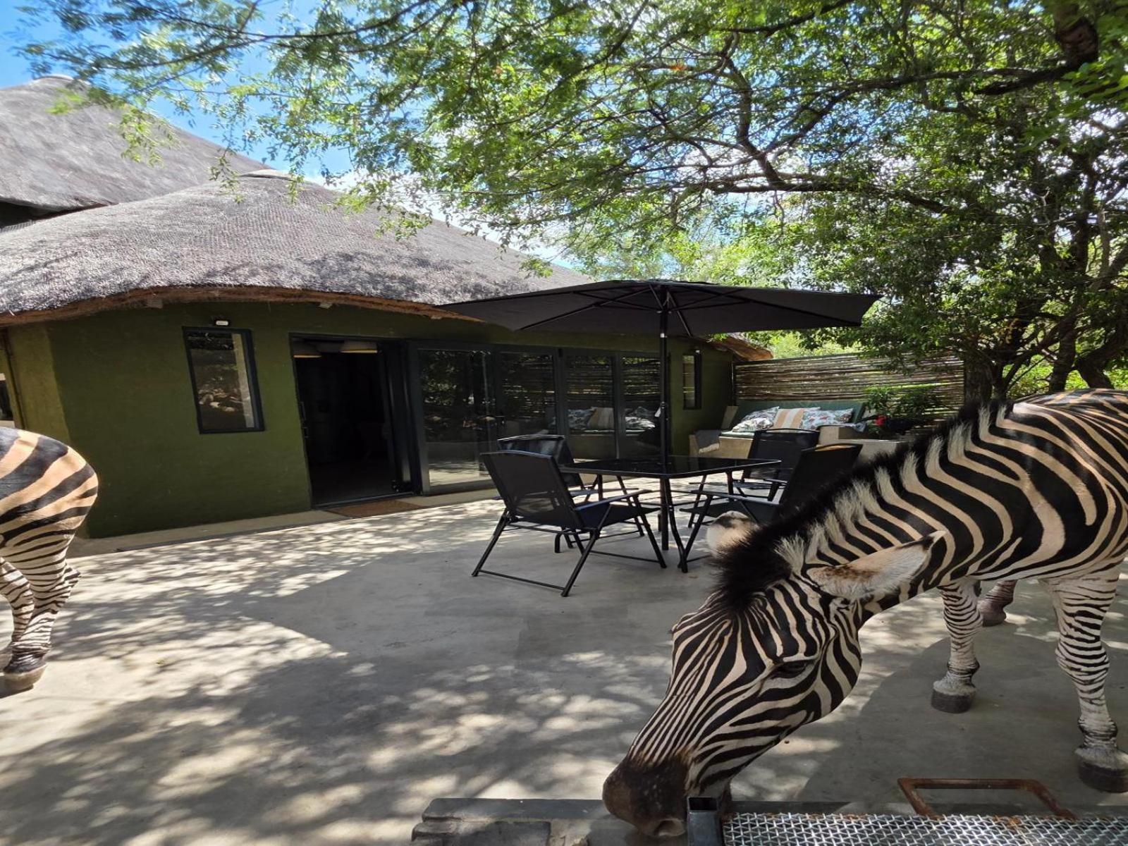 Croc Orvyll'S Kruger Lodge مارلوث بارك المظهر الخارجي الصورة
